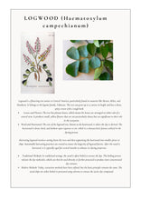 Load image into Gallery viewer, Botanical Dye Study Notes: Logwood
